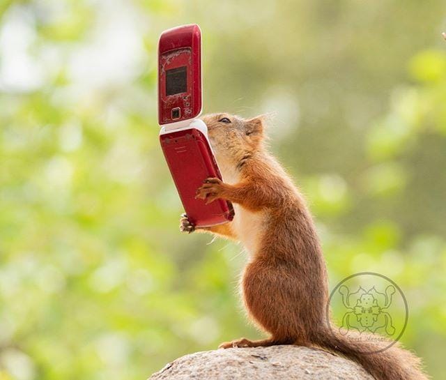 instagram.com/ geertweggen