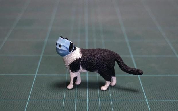 twitter.com/meetissai