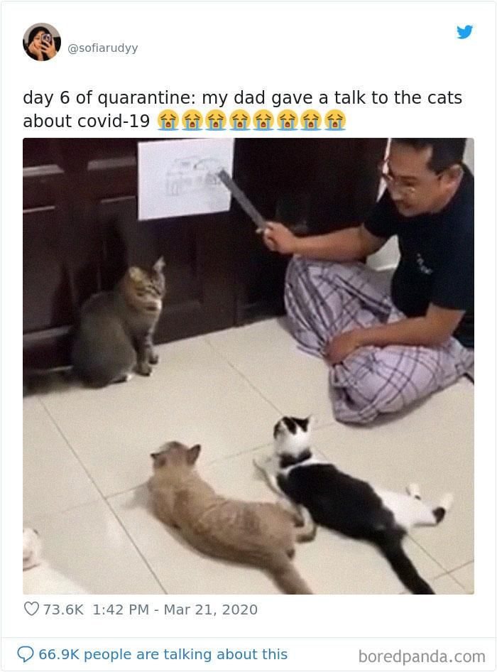 Twitter.com/Sofiarudyy