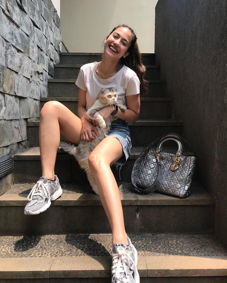 Instagram.com/pevpearce