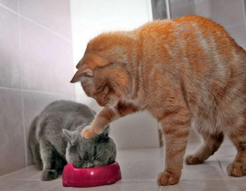 image.slidesharecdn.com