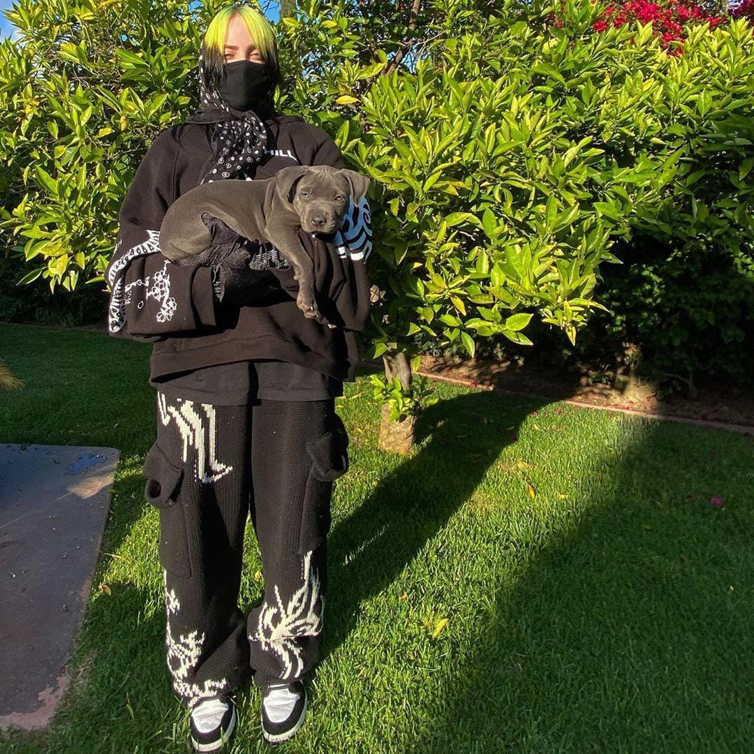 Instagram.com/@billieeilish