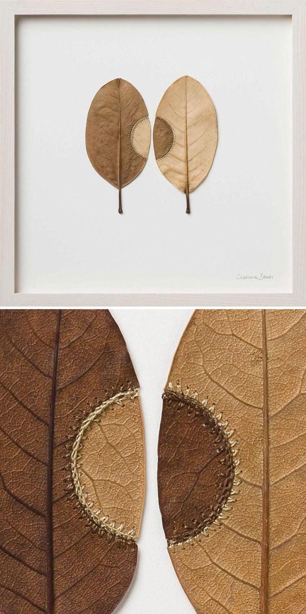 Instagram.com/susanna_bauer