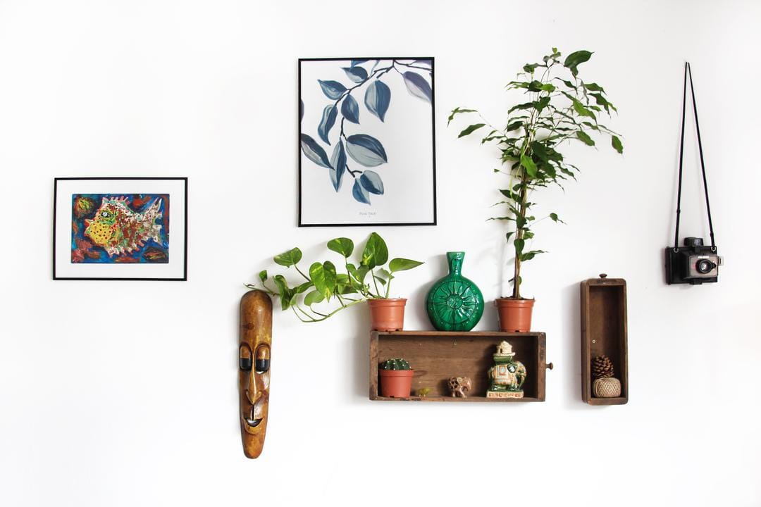 unsplash.com/Manja Vitolic