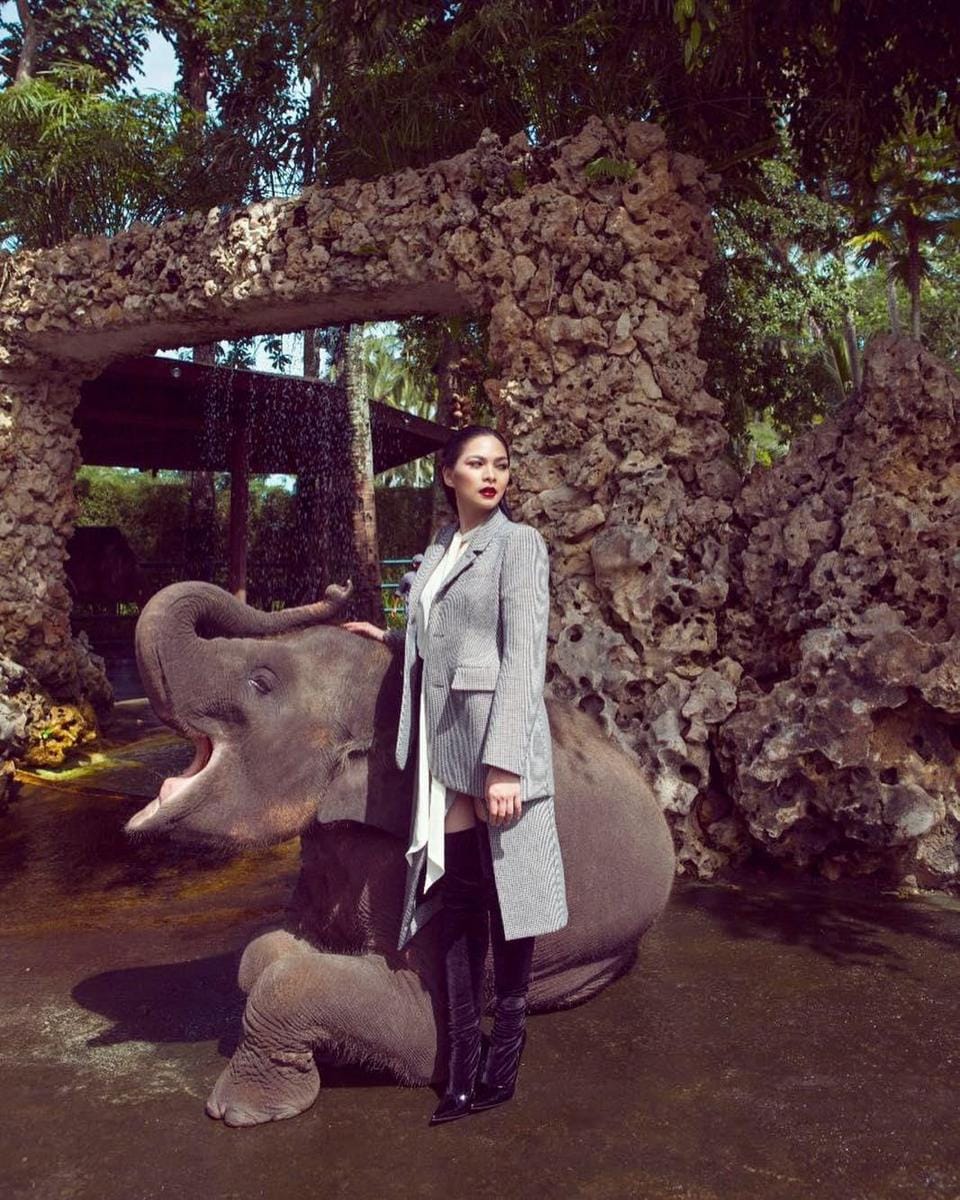 instagram.com/mestyariotedjo