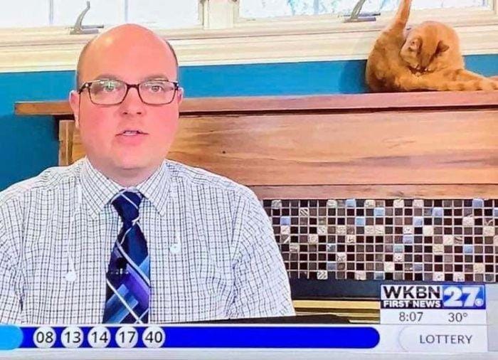 Reddit.com/RocksOnReddit924