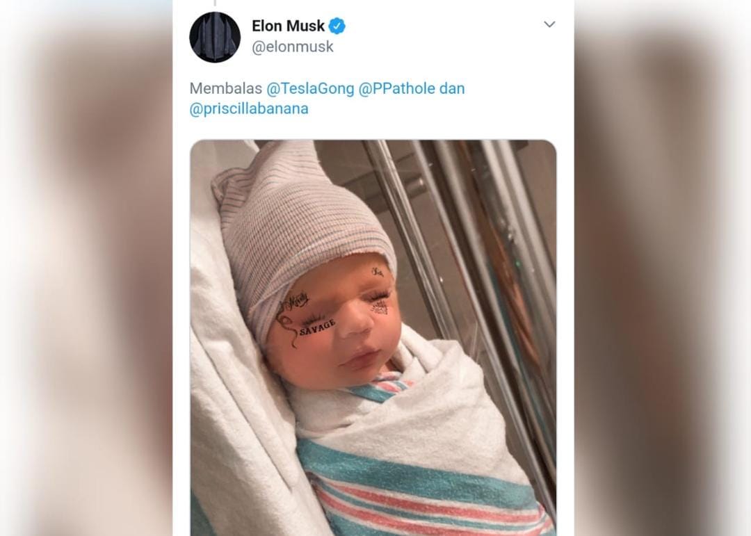 Twitter.com/elonmusk