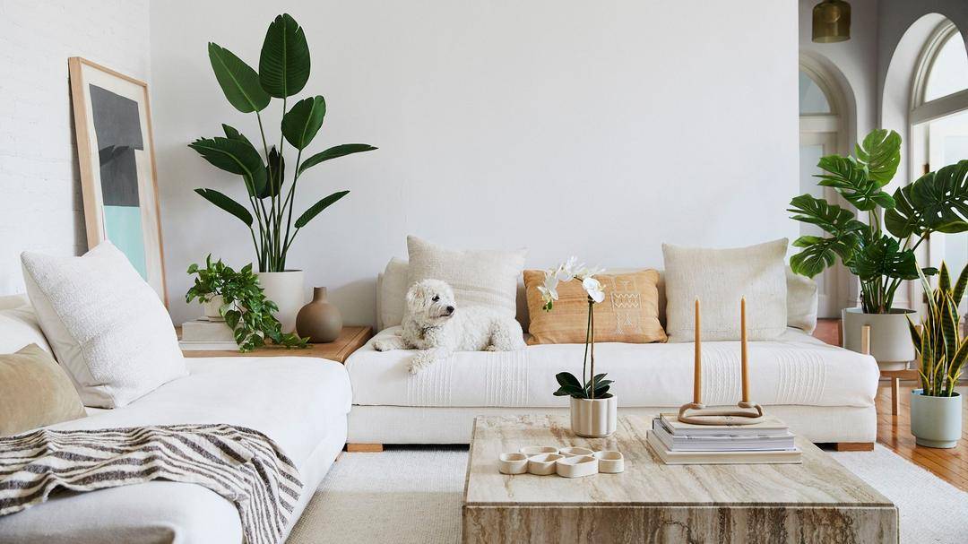 mydomaine.com