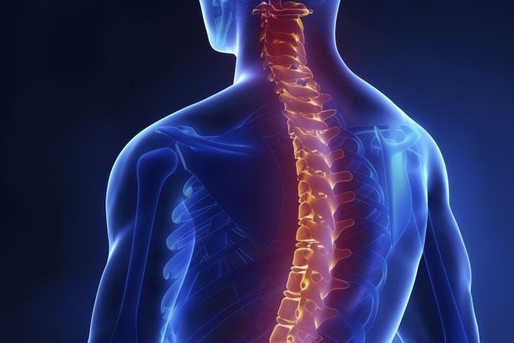 utahorthopediccenters.com