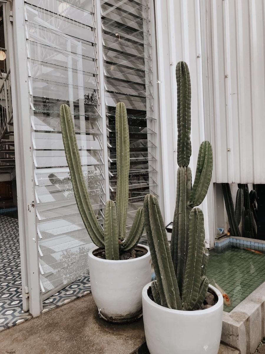 Popbela.com/Emillia Wardhani