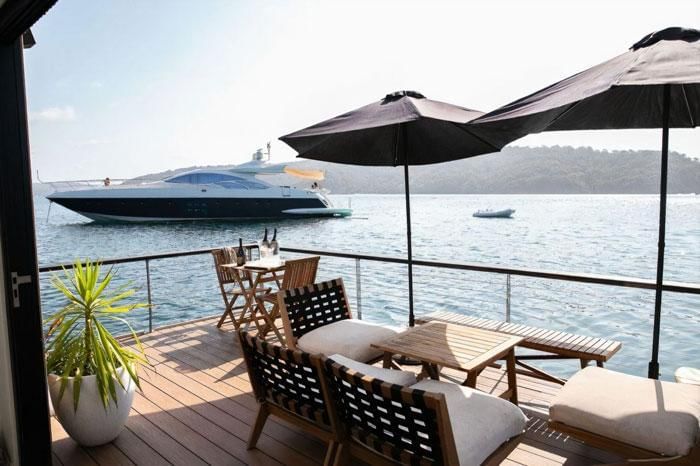 boredpanda.com/Ian Davidson/Lilypad Palm Beach