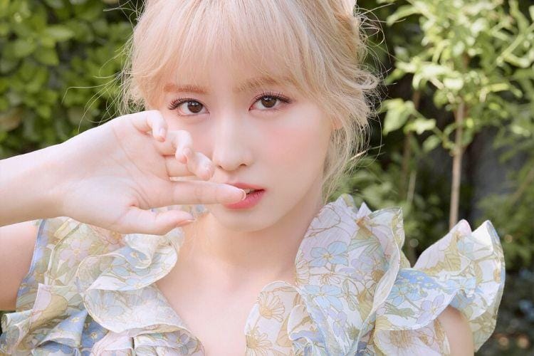 twitter.com/jypetwice