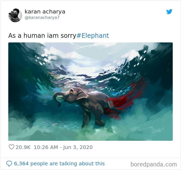 Boredpanda.com