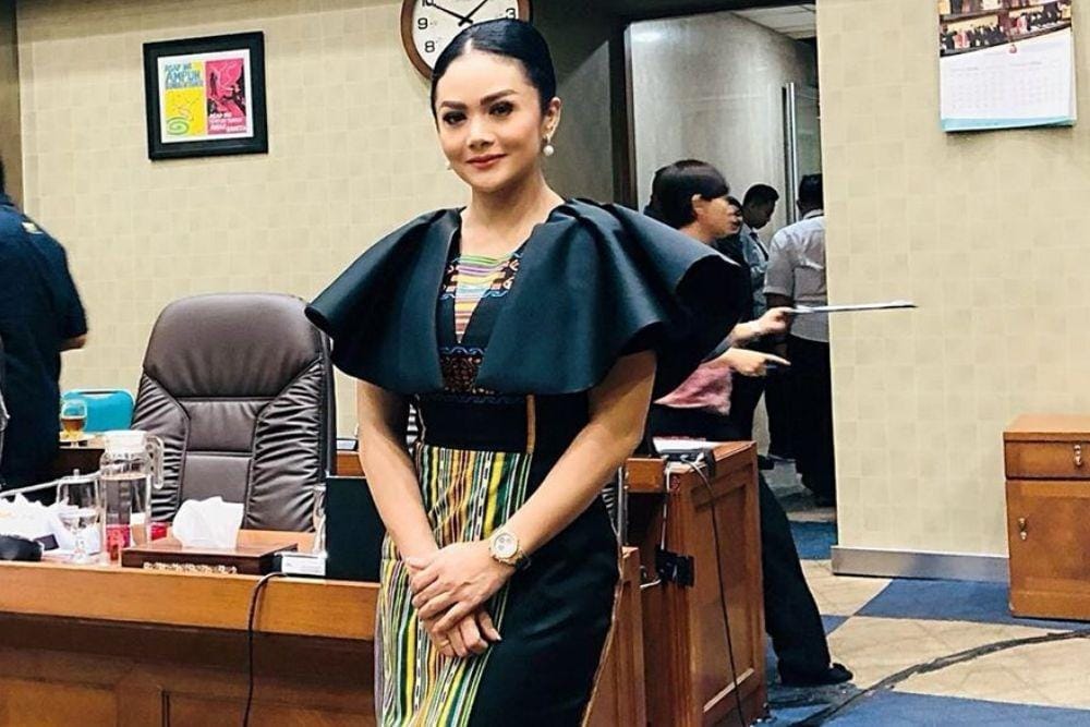 Anggun dan Berwibawa, Ini Potret Selebritas yang Menjadi Anggota DPR 
