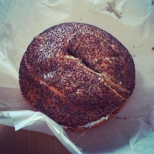 Shangybangy.tumblr.com