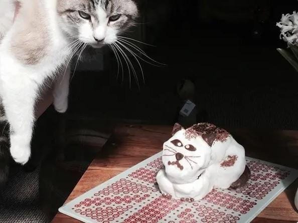 buzzfeed.com/olibobs