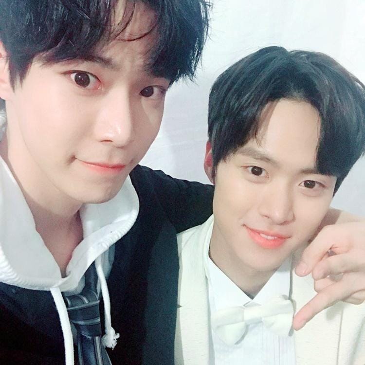 Twitter.com/grasshenies