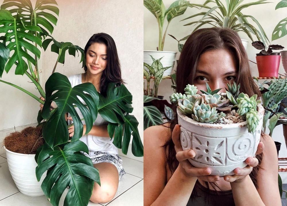 Instagram.com/angelgilsha