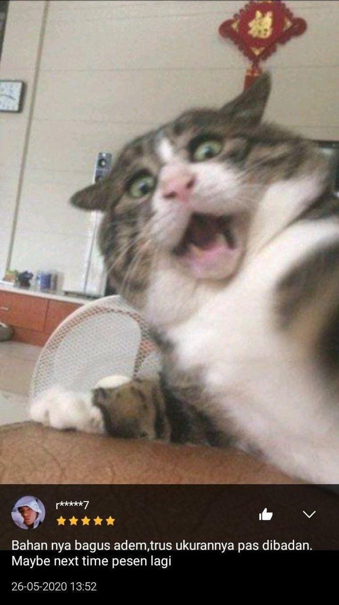 Twitter.com/txtdarionlshop