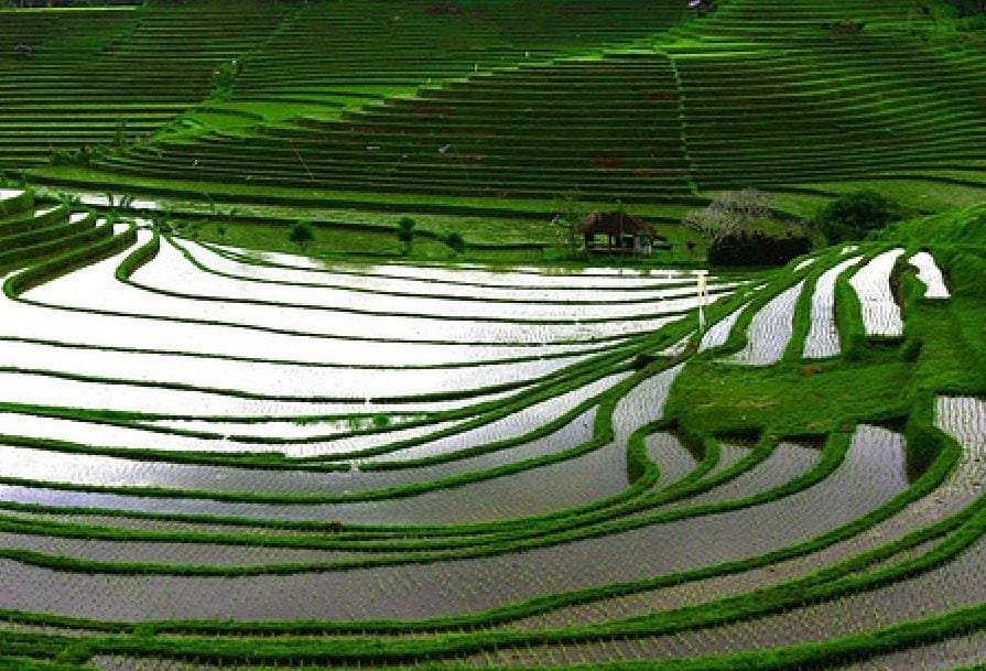 Goodnewsfromindonesia,.com