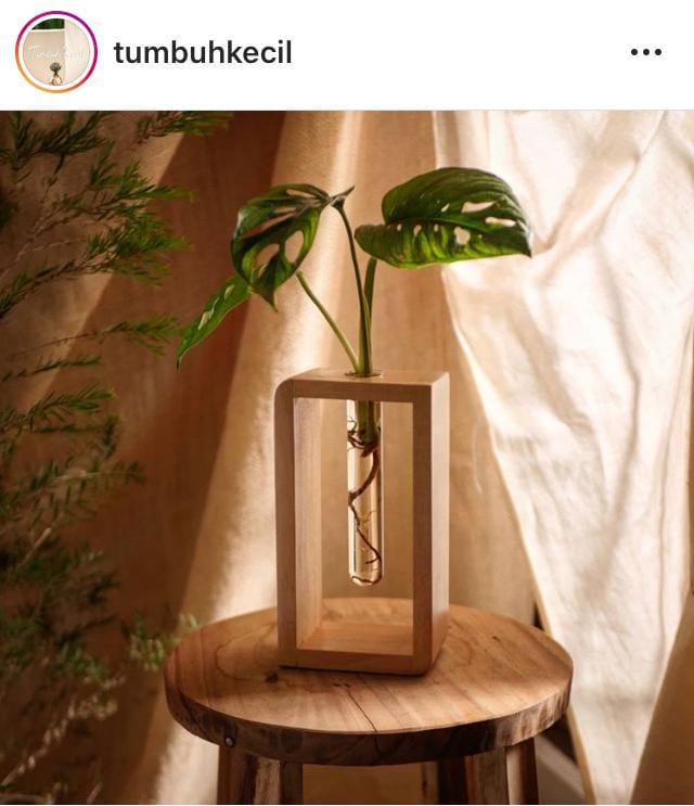 Instagram.com/tumbuhkecil