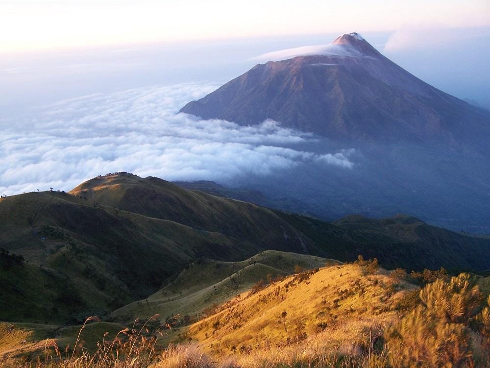 Primeverdhana.wordpress.com