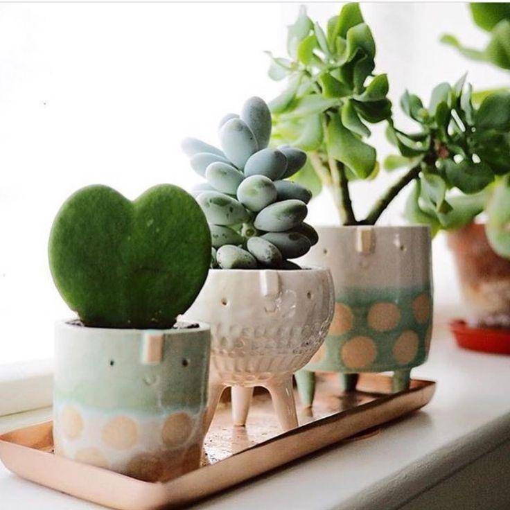 pinterest.com