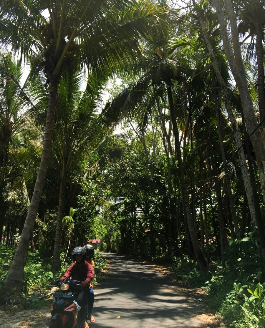 popbela.com/AyuUtami