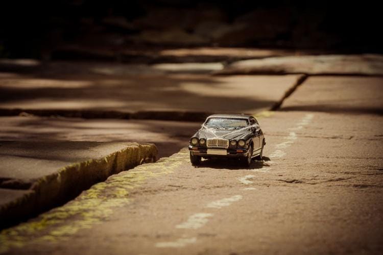 Boredpanda.com/Simon