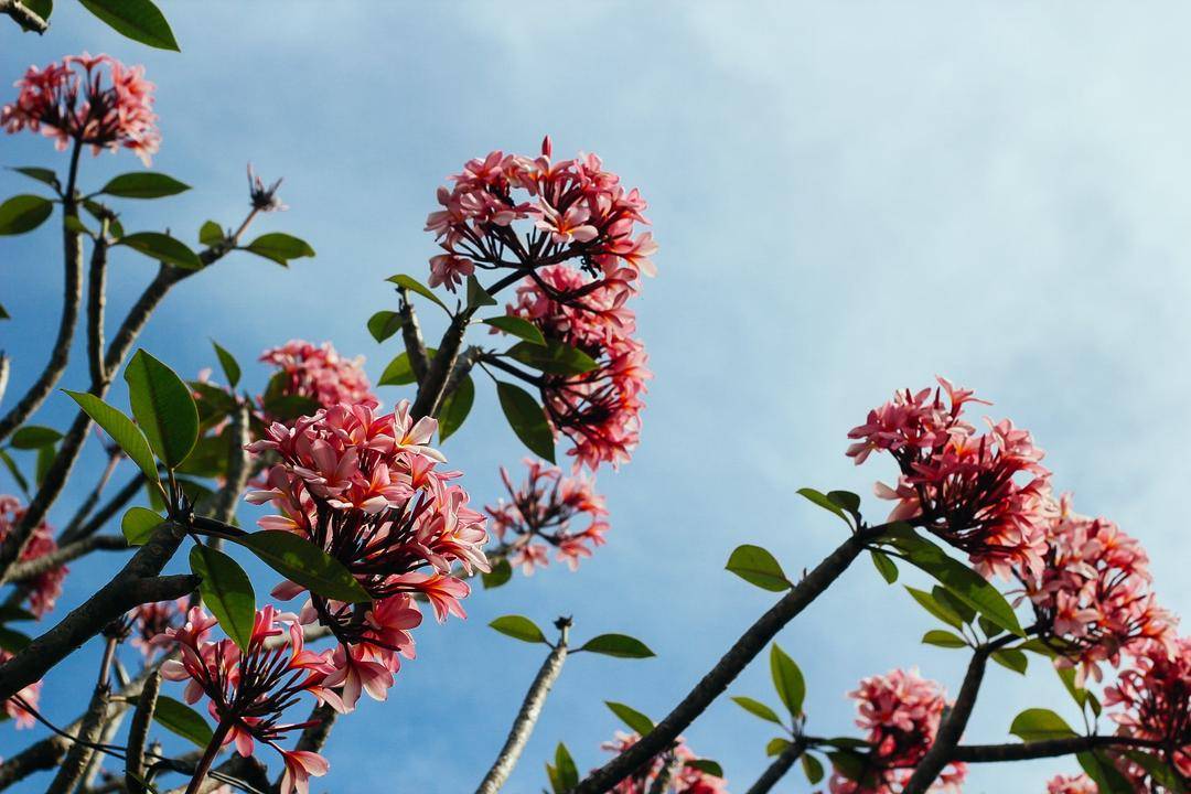 Unsplash.com / Arvee Marie