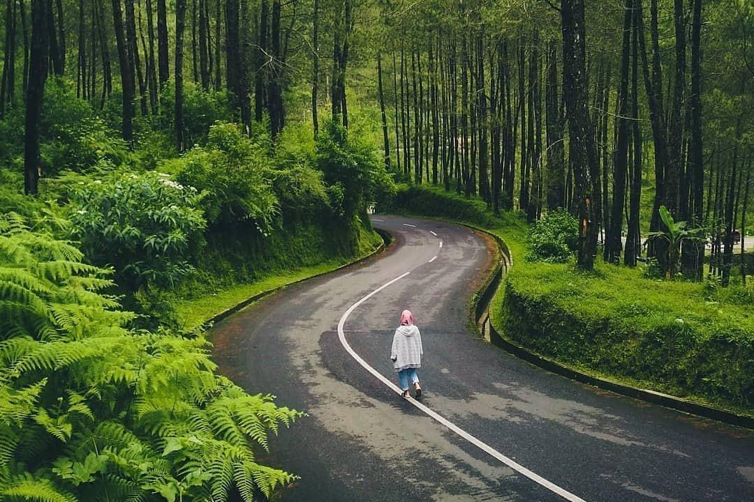 instagram.com/ tedy_riskiyanto01