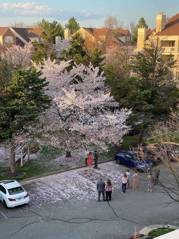 Boredpanda.com/OptimismBias