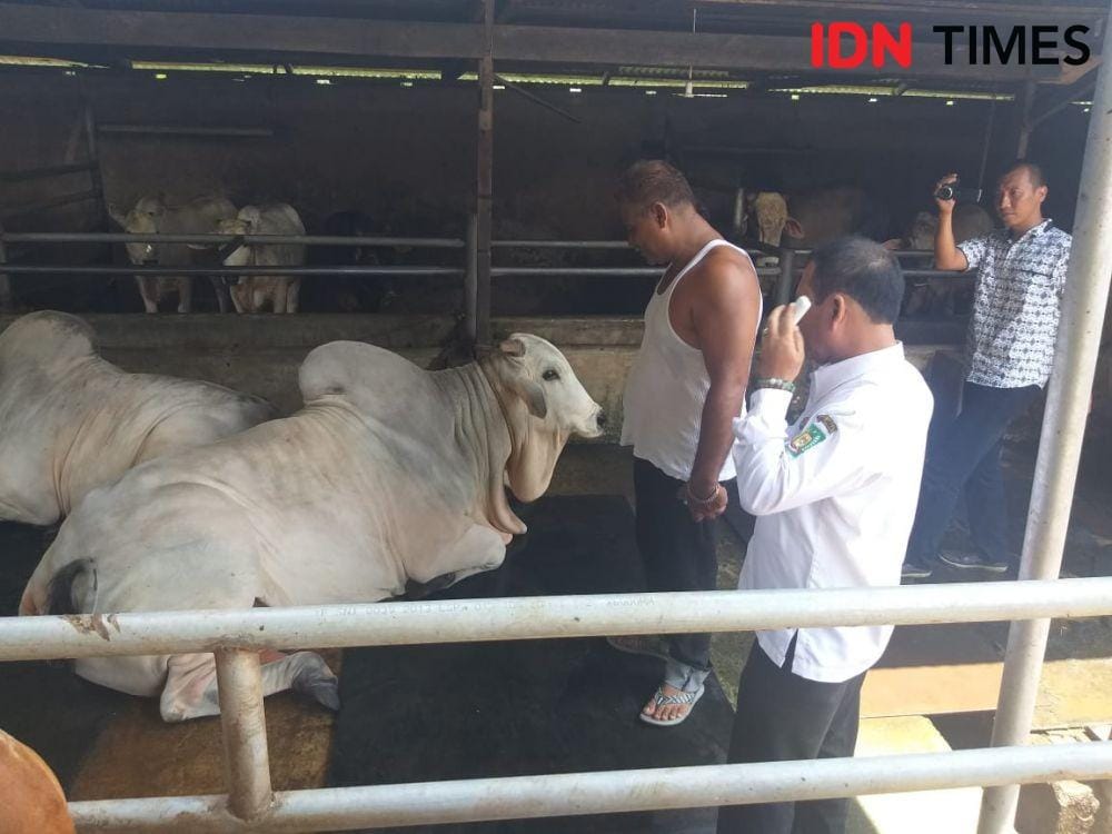 IDNTimes.com/Handoko