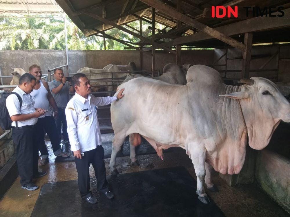 IDNTimes.com/Handoko