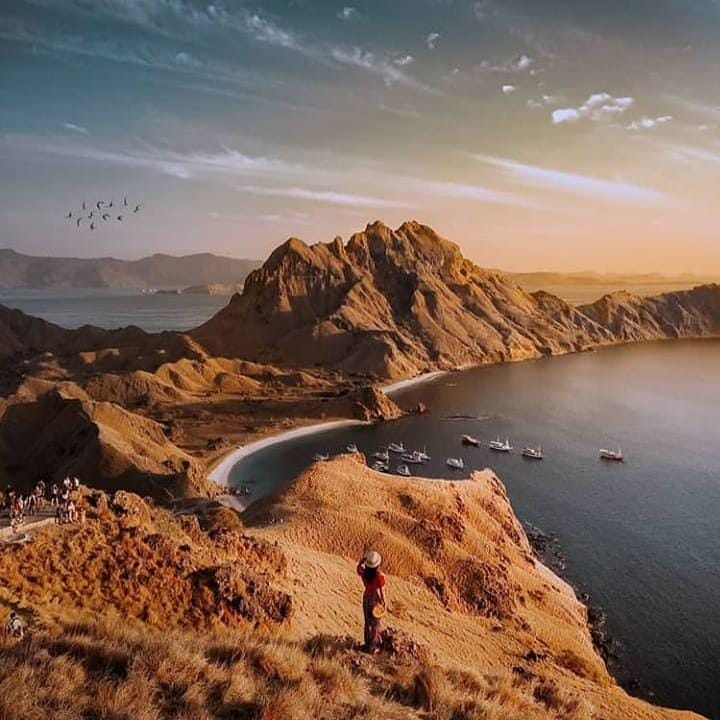 instagram.com/ _dendick