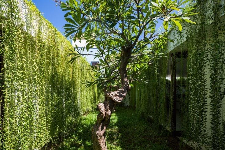 Pinterest.com/Dezeen