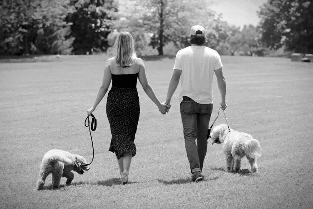 Unsplash.com/Sheri Hooley