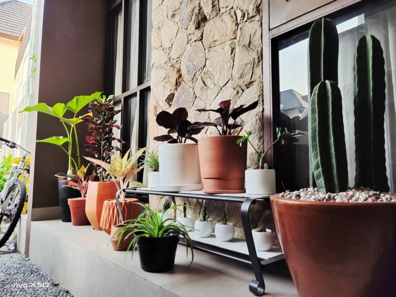 popbela.com/AyuUtami