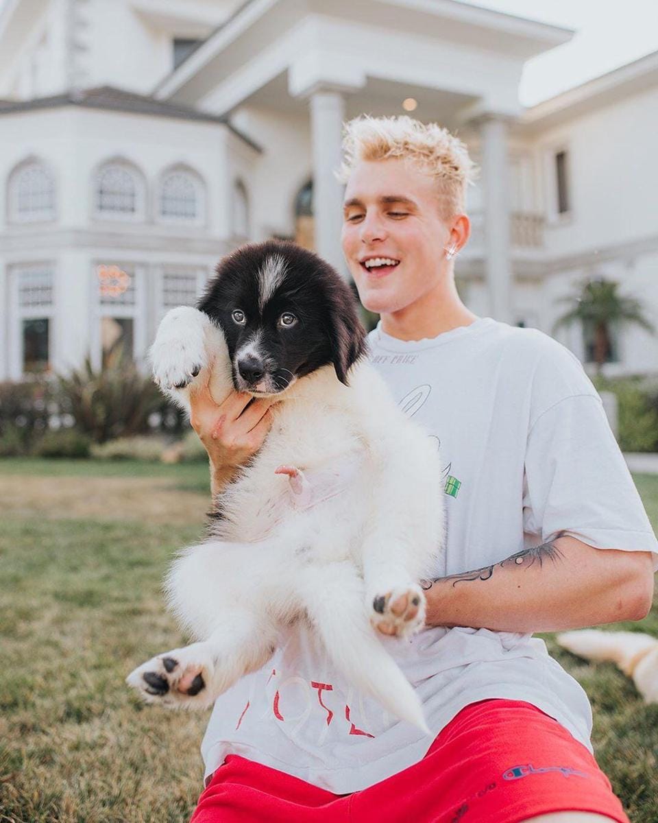 Instagram.com/jakepaul