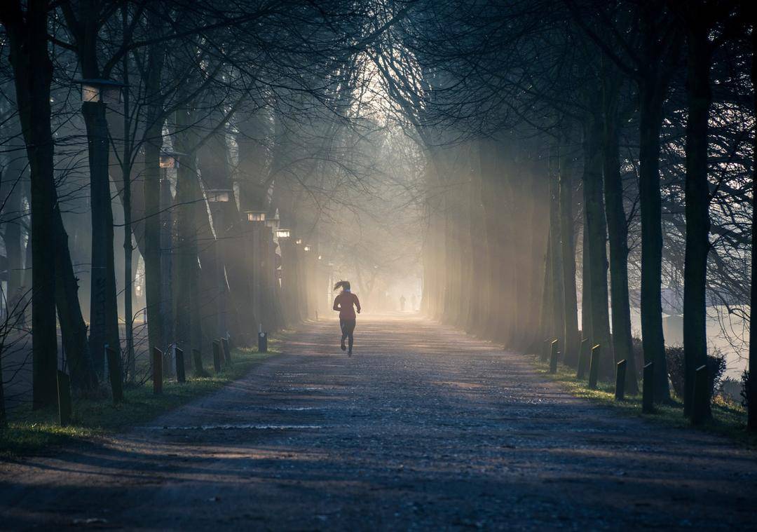 Unsplash.com / Philip Ackermann