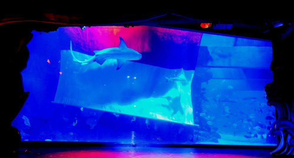 popbela.com/AyuUtami