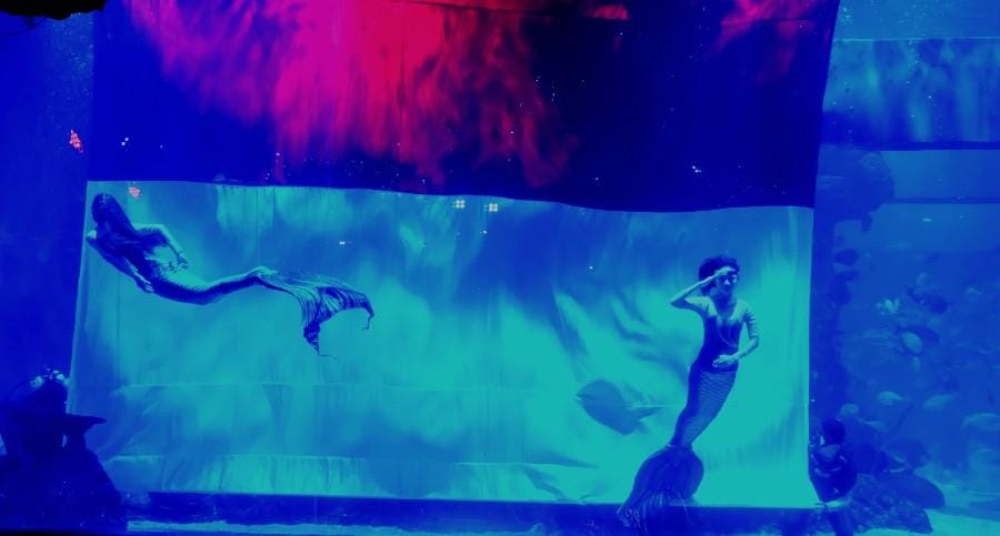 popbela.com/AyuUtami