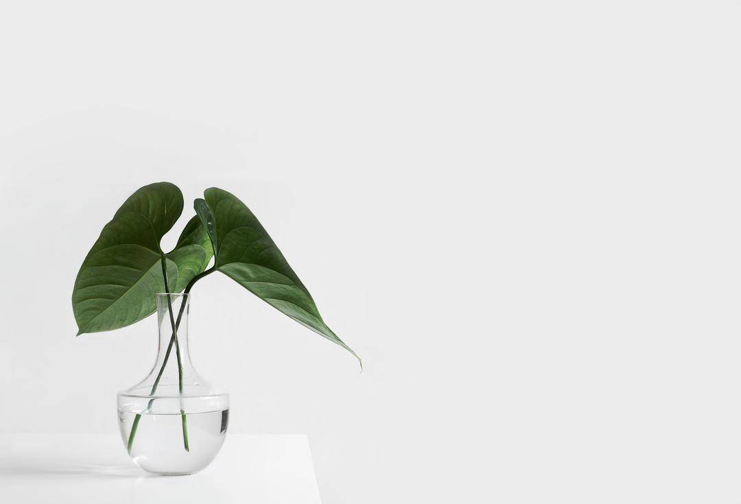 Unsplash.com / Sarah Dorweiler