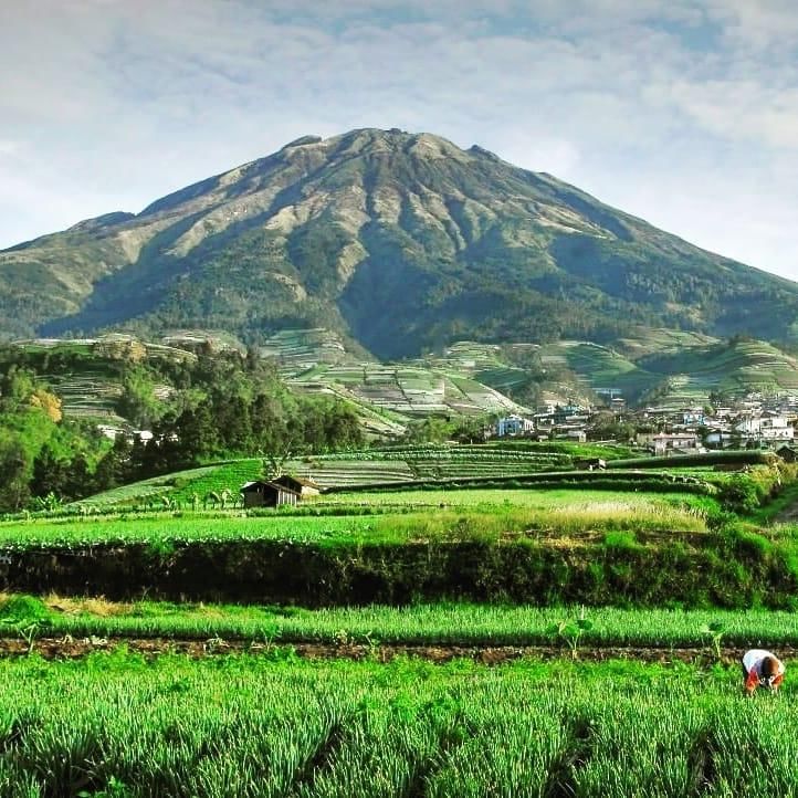 Instagram.com/dusun_butuh