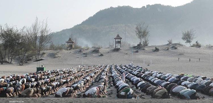 Dok. Lifelike Pictures