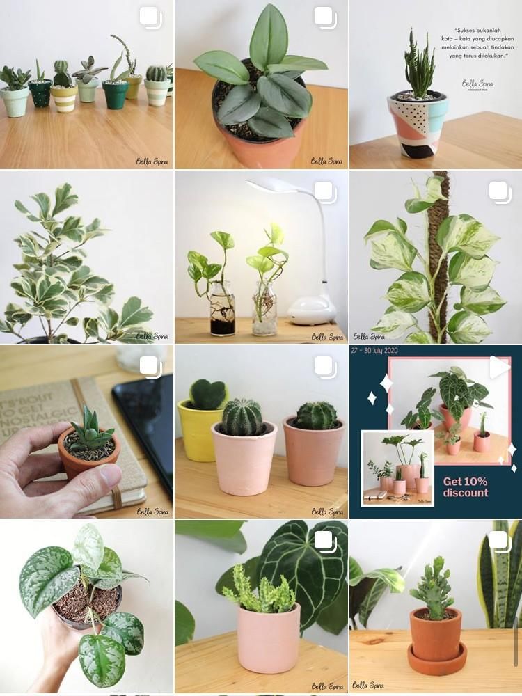 Instagram.com/bella_spina