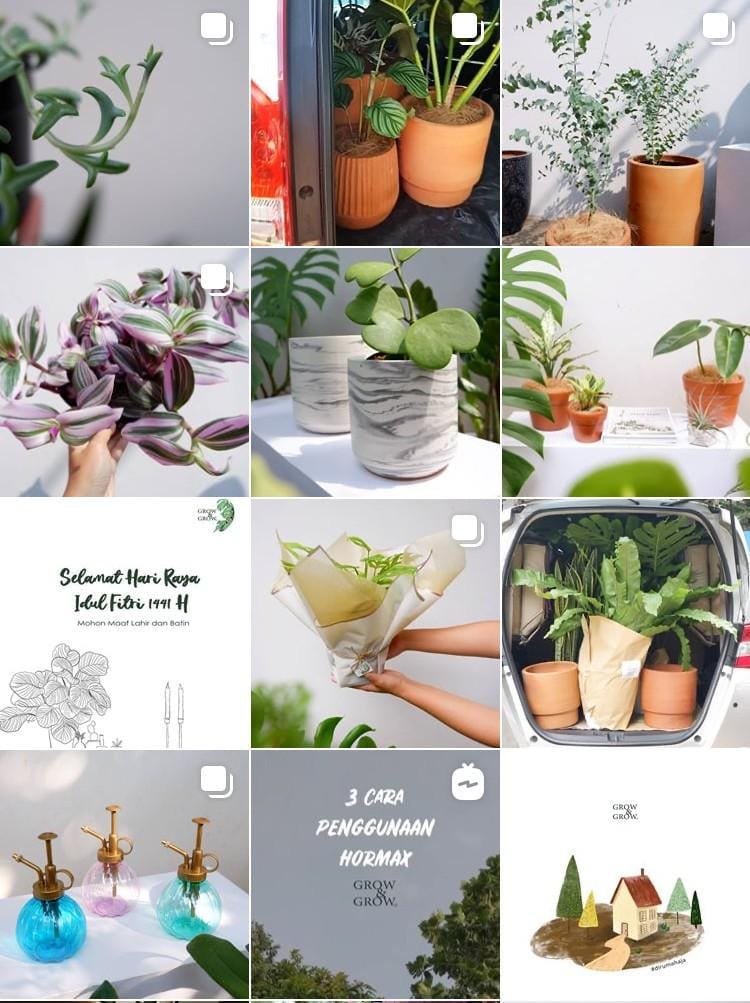 Instagram.com/growandgrow.id