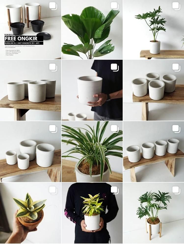 Instagram.com/shop.kinibotanica