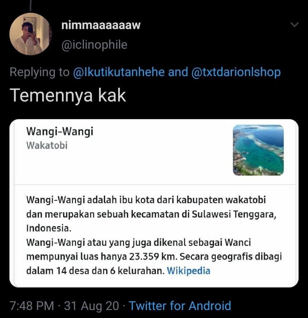 Twitter.com/iclinophile