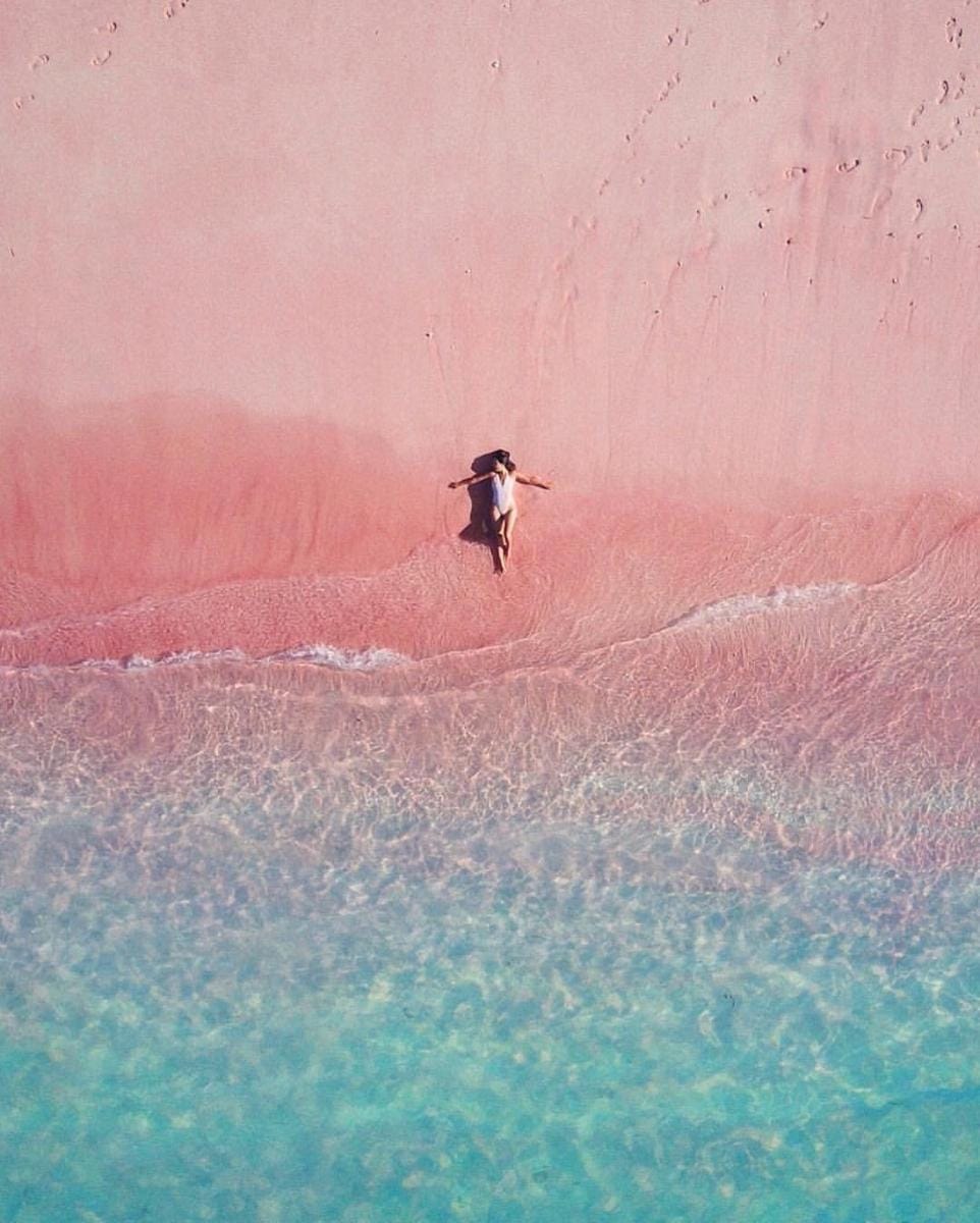 instagram.com/ quinn.luu